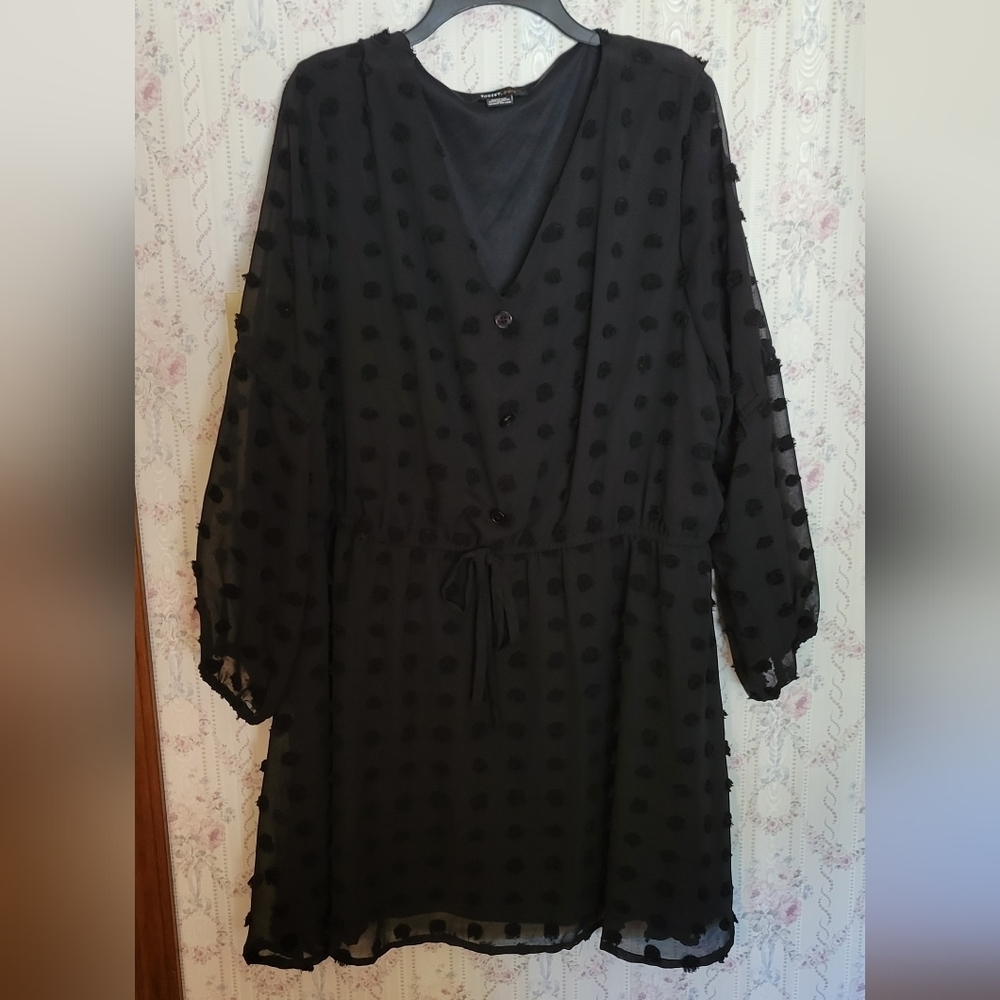 Robert Louis 3X Black Sheer Sleeve Cinch Waist Sheer Overlay